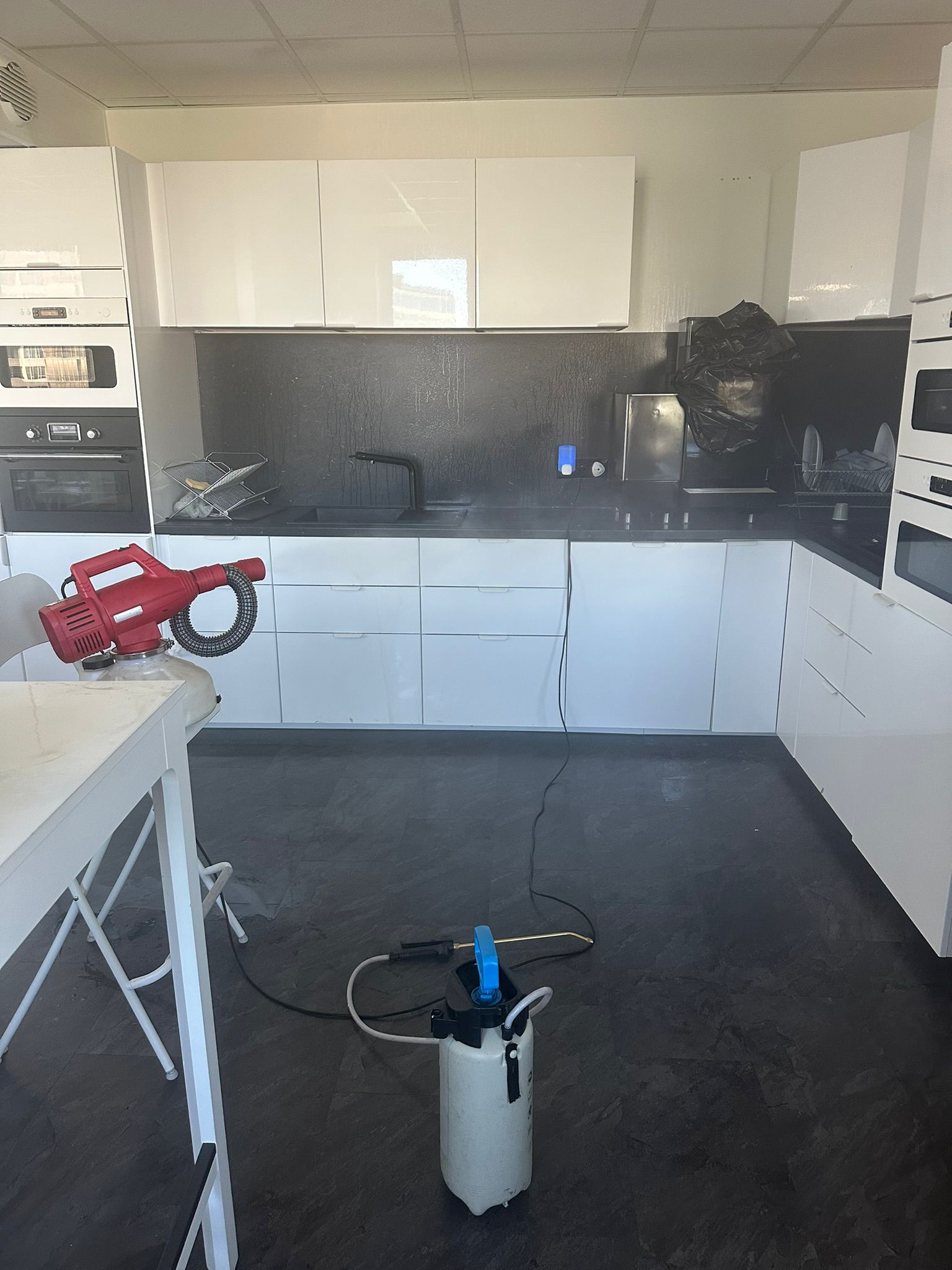 Intervention mite Paris — photo 1